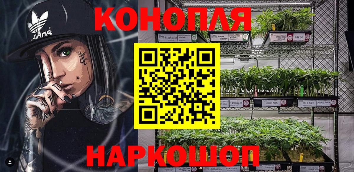 Шишки марихуана гибрид  Вход с VPN  Шишки марихуана конопля  Краснотурьинск  Шишки марихуана OG Kush 